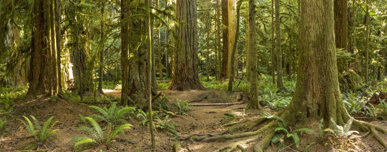 Vancouver Island