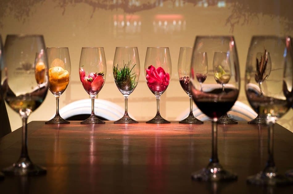Casablanca Valley and Its Wines - Photo 7