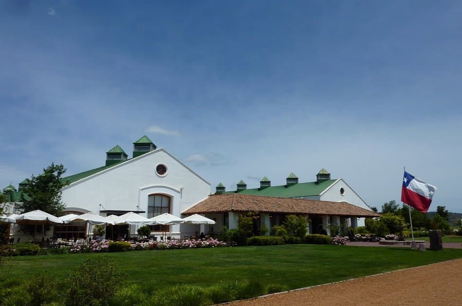 Casablanca Valley and Its Wines - Photo 3