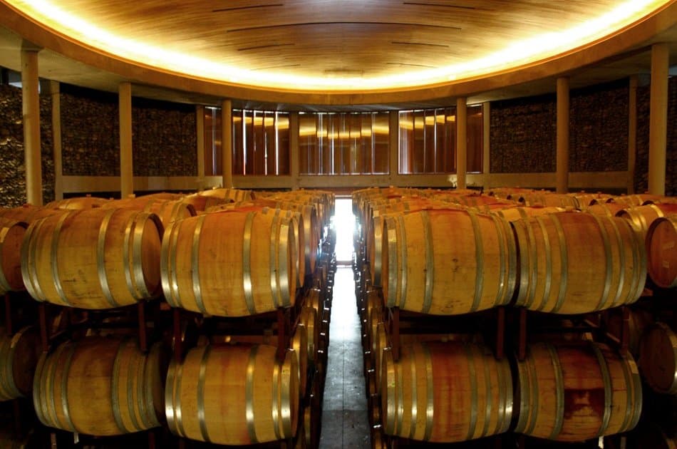 Casablanca Valley and Its Wines - Photo 6