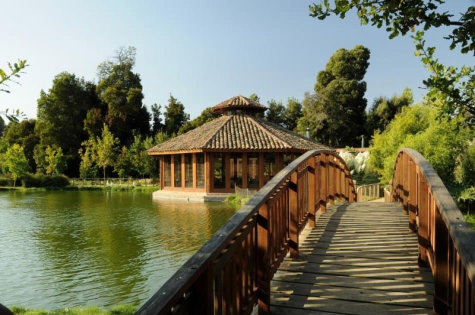 Casablanca Valley: Visit and taste the flavours of wines at the Matetic Vineyards - Photo 3