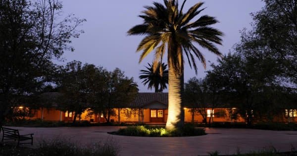 Casablanca Valley: Visit and taste the flavours of wines at the Matetic Vineyards - Photo 1