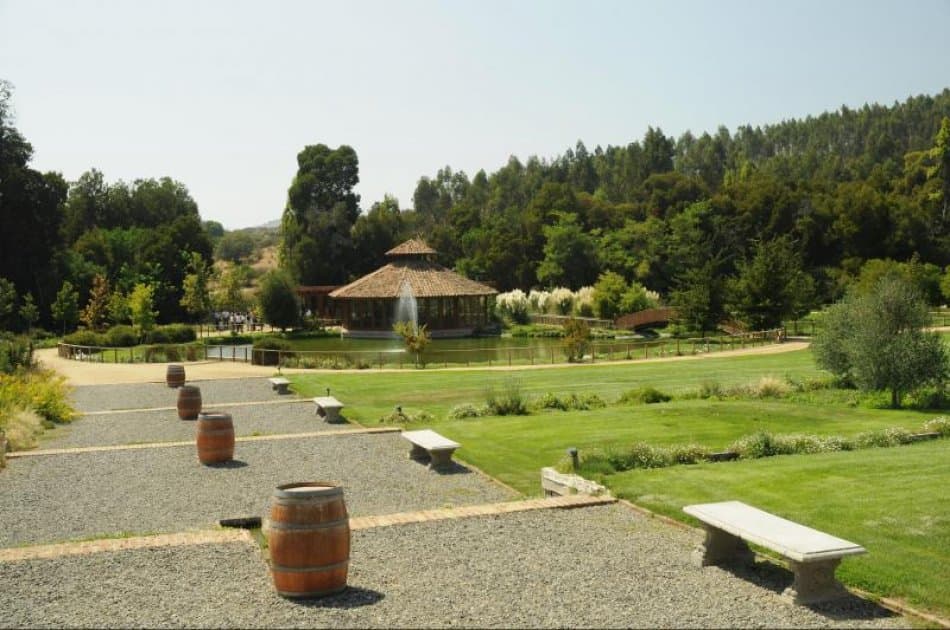 Casablanca Valley: Visit and taste the flavours of wines at the Matetic Vineyards - Photo 5