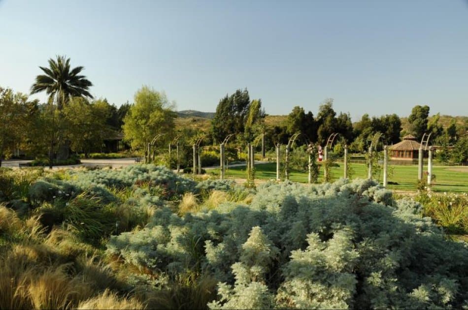 Casablanca Valley: Visit and taste the flavours of wines at the Matetic Vineyards - Photo 4