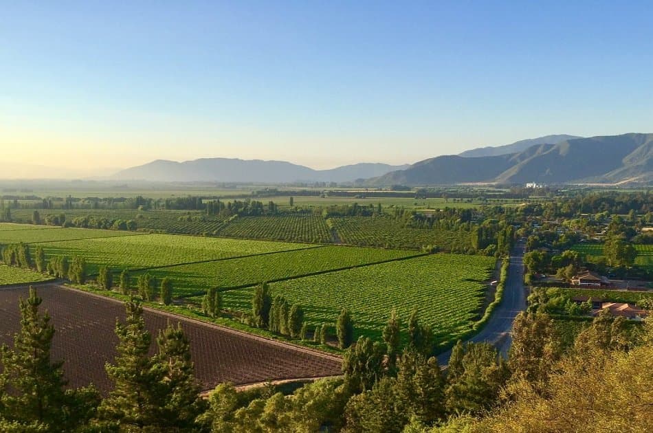 Colchagua Valley and Its Wines - Photo 2