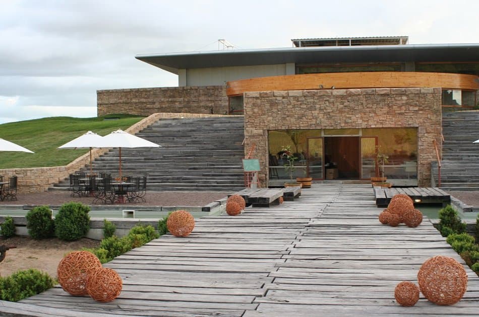 Colchagua Valley and Its Wines - Photo 3