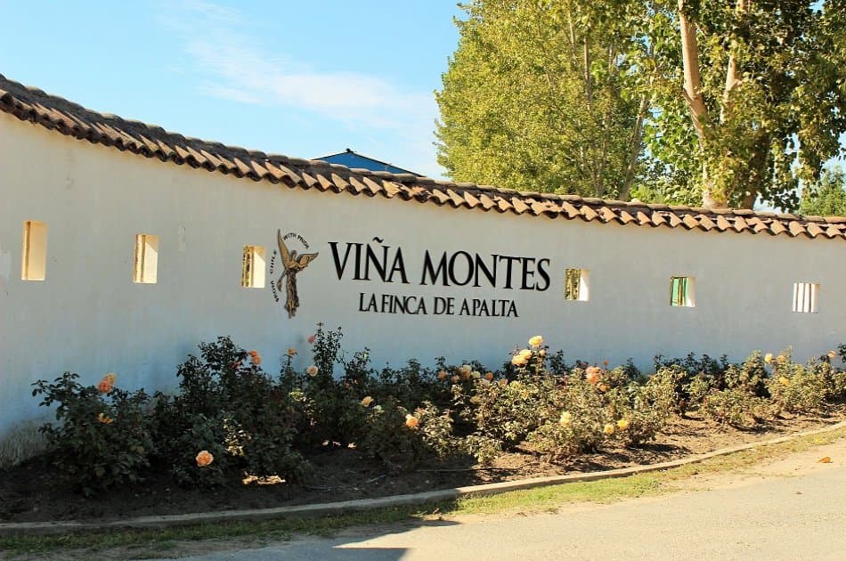 Colchagua Valley and Its Wines - Photo 4