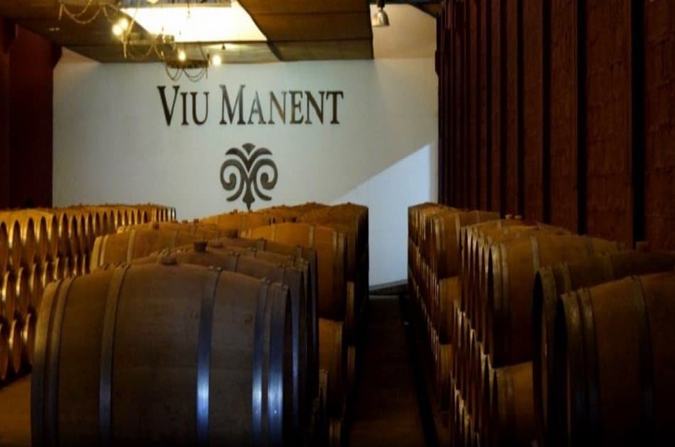 Colchagua Valley and Its Wines - Photo 9
