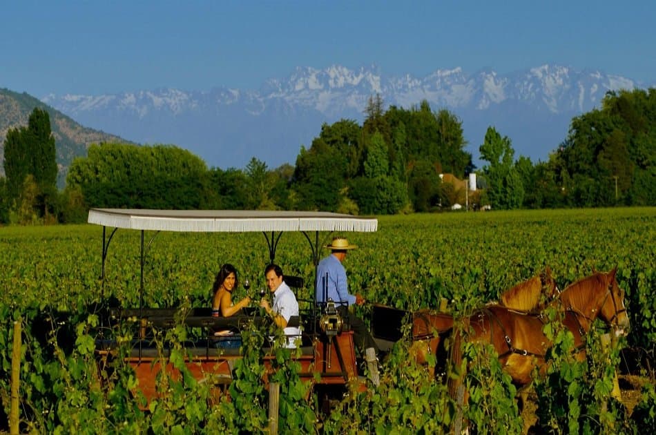 Colchagua Valley and Its Wines - Photo 6