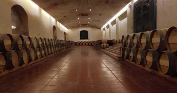 Concha Y Toro Winery - Living the Legend - Photo 1