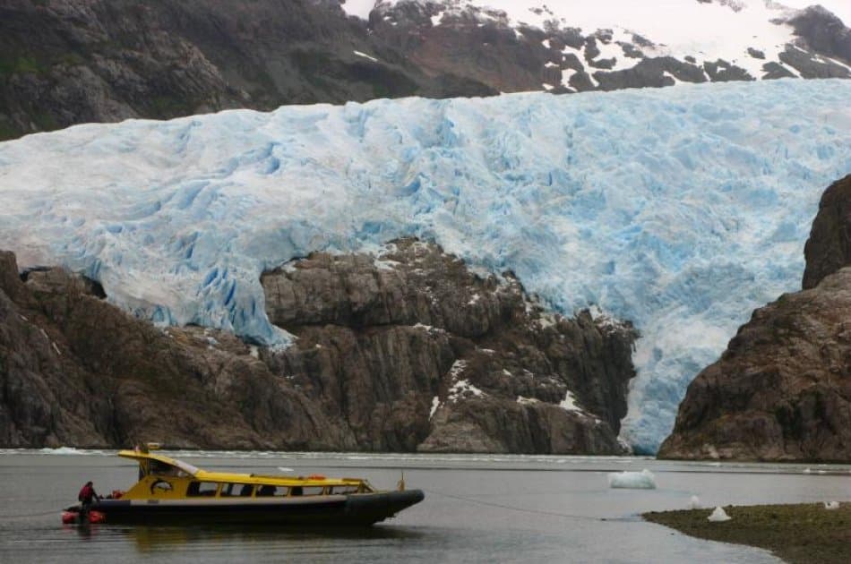 Dont miss this visit to Punta Arenas were you will see Whales ,Penguins & Glaciers - Photo 3