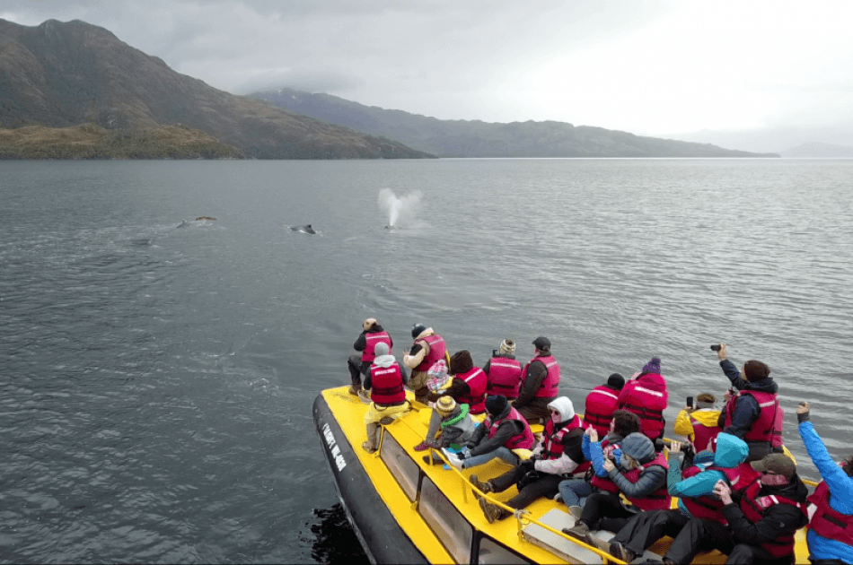 Dont miss this visit to Punta Arenas were you will see Whales ,Penguins & Glaciers - Photo 2
