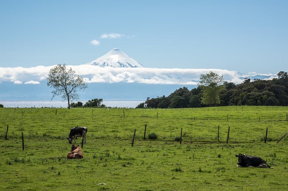 private Scenic Drive Along Coastal Roads Surrounding Llanquihue Lake - Photo 4