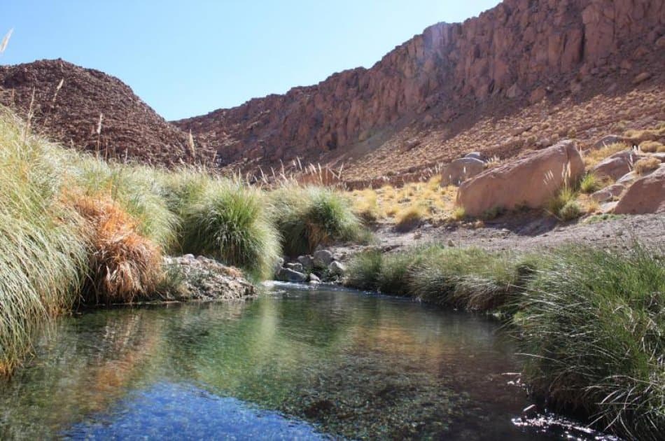 San Pedro de Atacama: Relax and enjoy Puritama Hot Springs - Photo 4