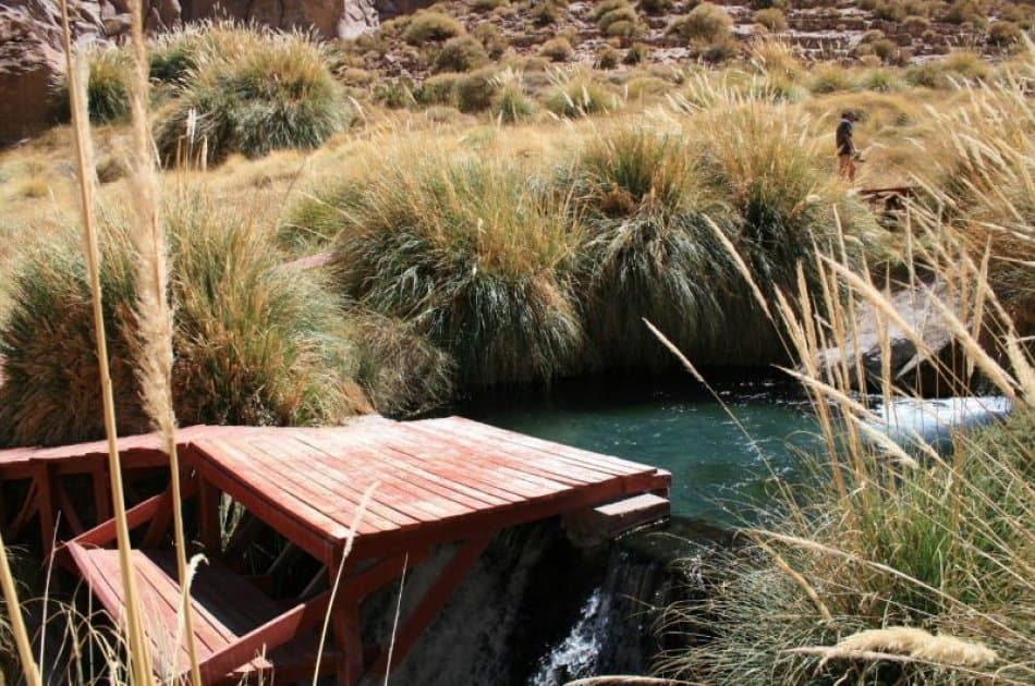 San Pedro de Atacama: Relax and enjoy Puritama Hot Springs - Photo 6