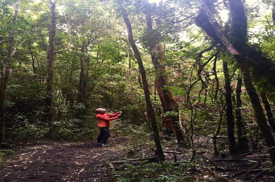 Solitario Hike Volcan Osorno Petrohue Falls - Photo 3