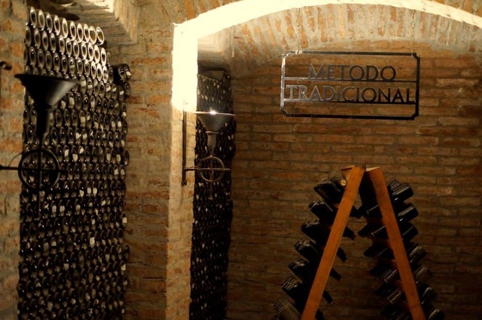 Undurraga Winery - Wines With Trajectory and Innovation - Photo 3