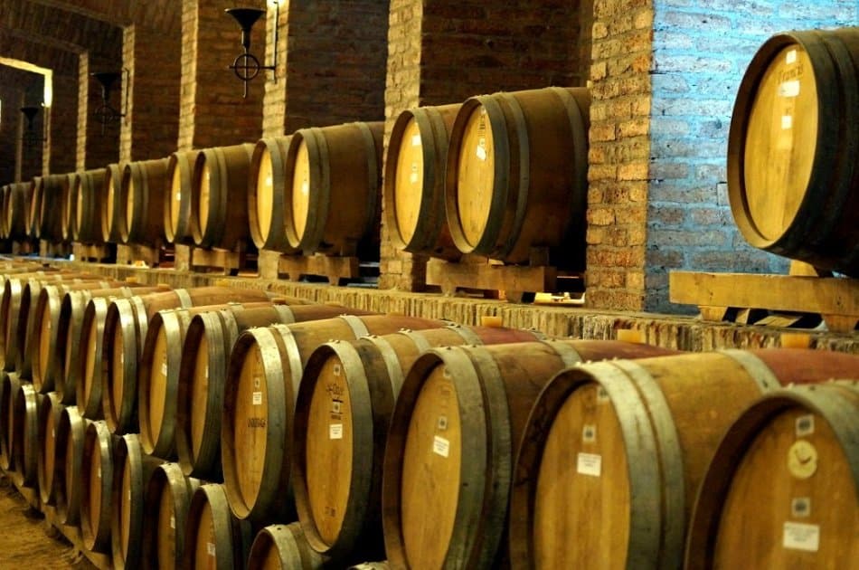 Undurraga Winery - Wines With Trajectory and Innovation - Photo 5