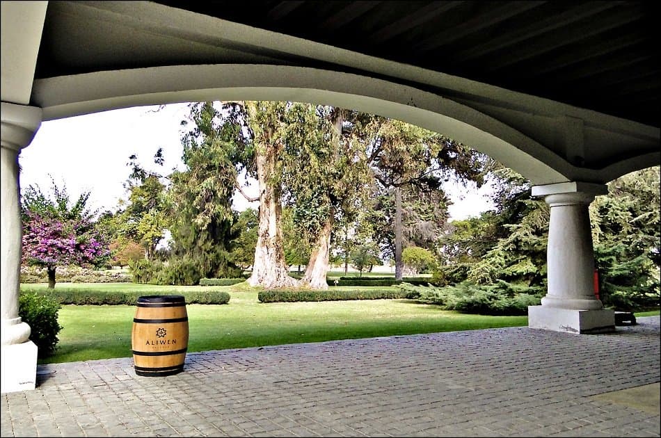 Undurraga Winery - Wines With Trajectory and Innovation - Photo 6