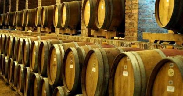 Undurraga Winery - Wines With Trajectory and Innovation - Photo 1