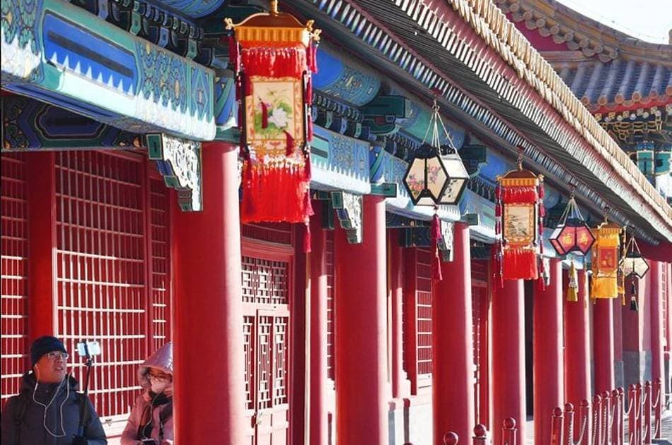 Beijing Full Day Forbidden City and Temple of Heaven Private Tour With Lunch - Photo 6