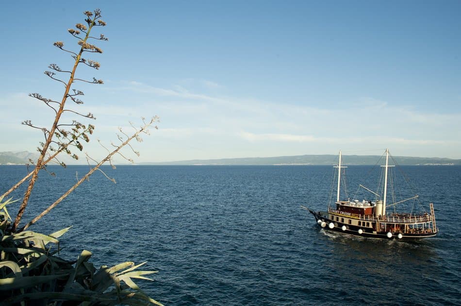 All inclusive Day Trip to Island Brač - Golden Horn Beach - Photo 6