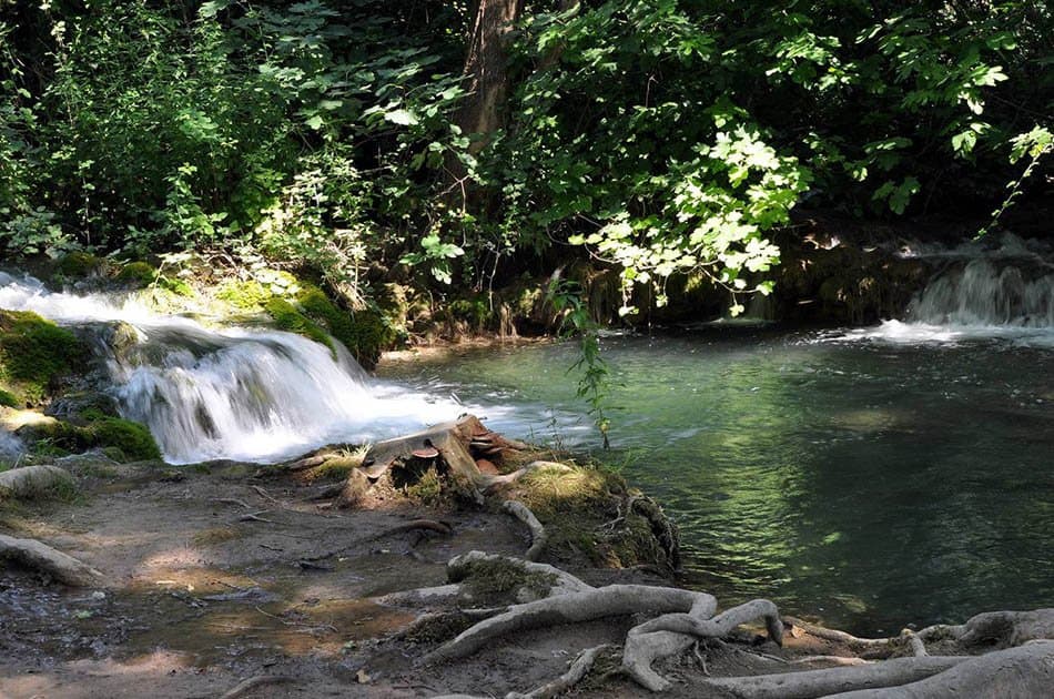 Krka Waterfalls Economy Tour - Photo 17