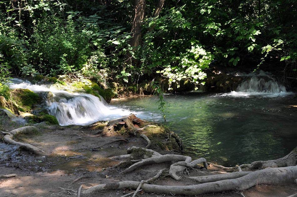 Krka Waterfalls Economy Tour - Photo 9