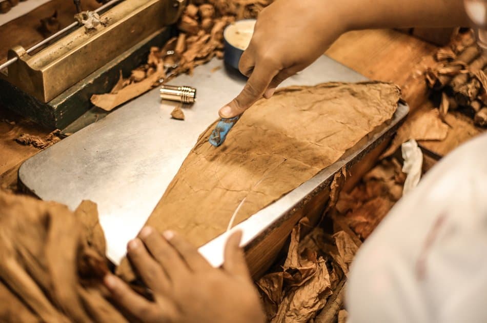 Cigar Aficionado Experience & Altos De Chavon - Photo 3