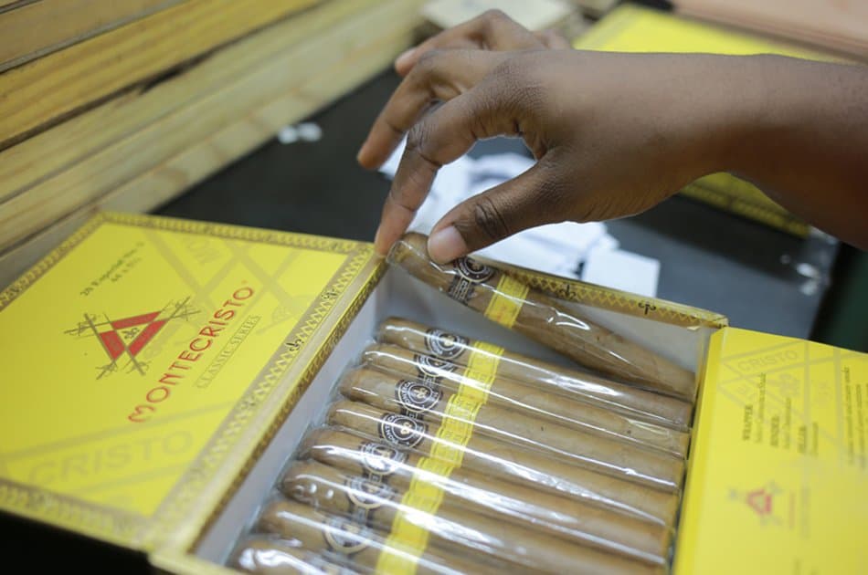 Cigar Aficionado Experience & Altos De Chavon - Photo 4