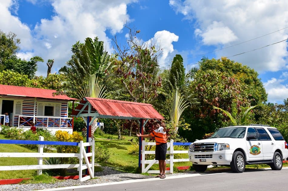 Dominican Countryside Adventure on SUV - Photo 10