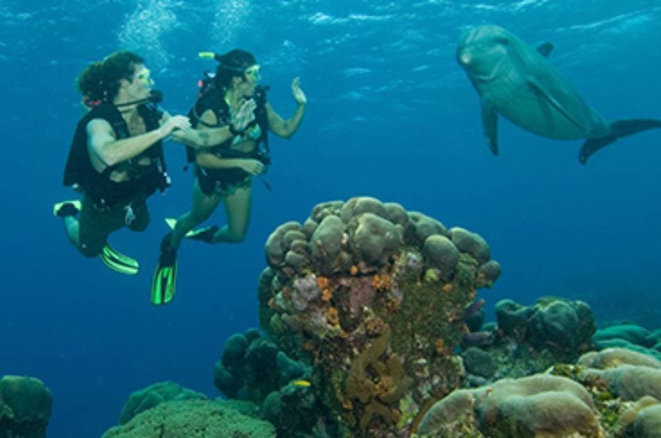 11 Day Red Sea & Nile River Cruise - Photo 9