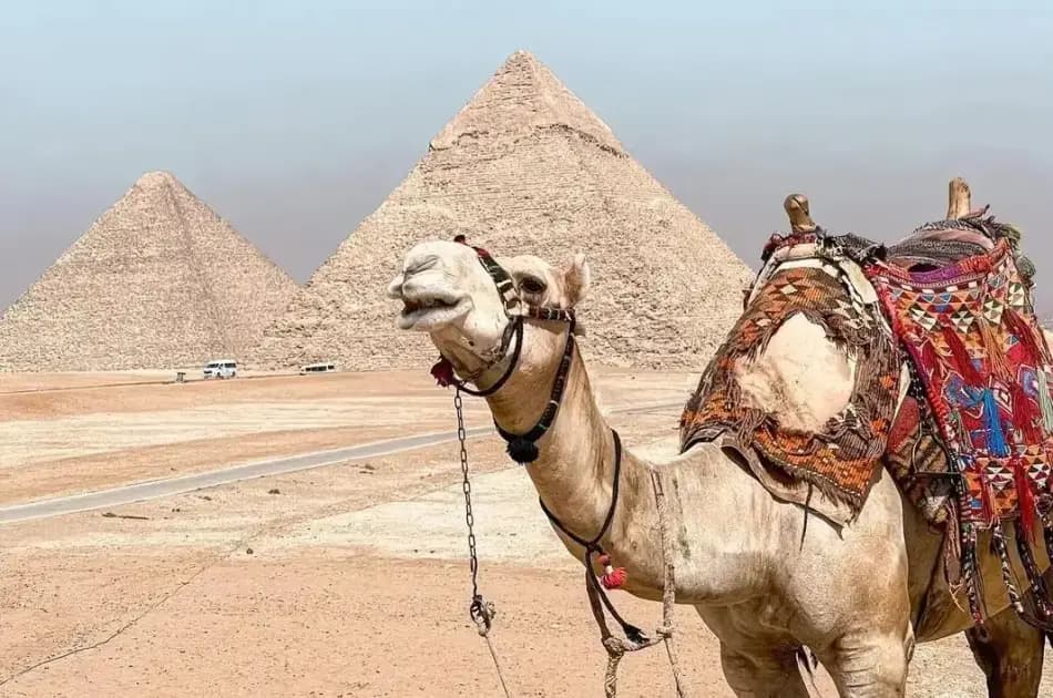 6 Day Ancient Egypt & Sightseeing in Alexandria From Cairo - Photo 10