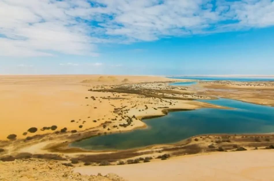 Bird Watching Tour to El Fayoum from Cairo - Photo 13