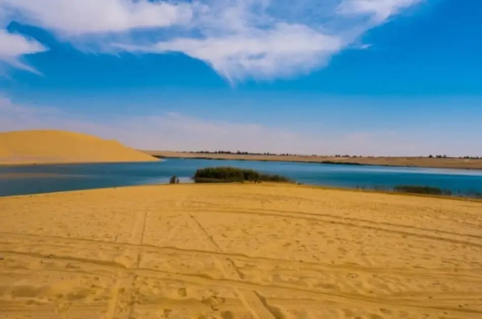 Bird Watching Tour to El Fayoum from Cairo - Photo 14