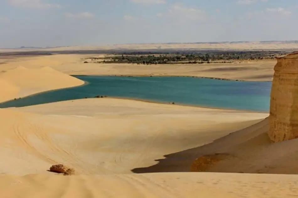 Bird Watching Tour to El Fayoum from Cairo - Photo 11