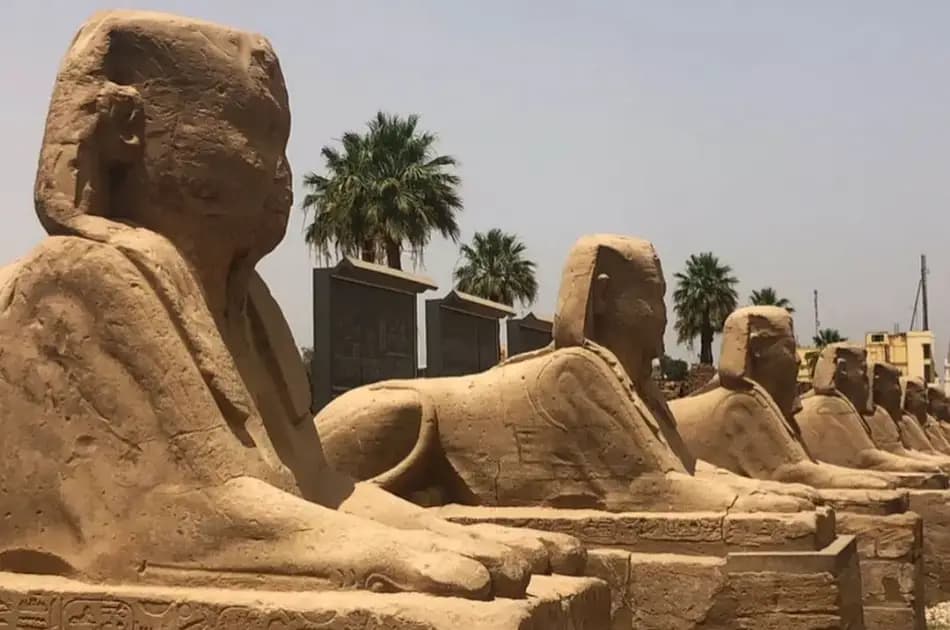 Bus from Hurghada to Cairo to the Pyramids - Photo 16