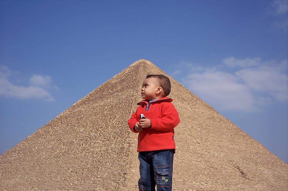 Cairo Stopover Tour From Cairo Airport to Giza Pyramids and the Egyptian Museum With Lunch - Photo 4