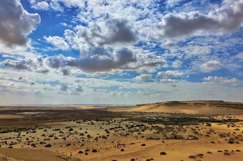 Day Tour from Cairo to Fayoum Oasis - Photo 5
