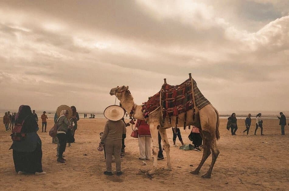 Day Tour from Cairo to Fayoum Oasis - Photo 3
