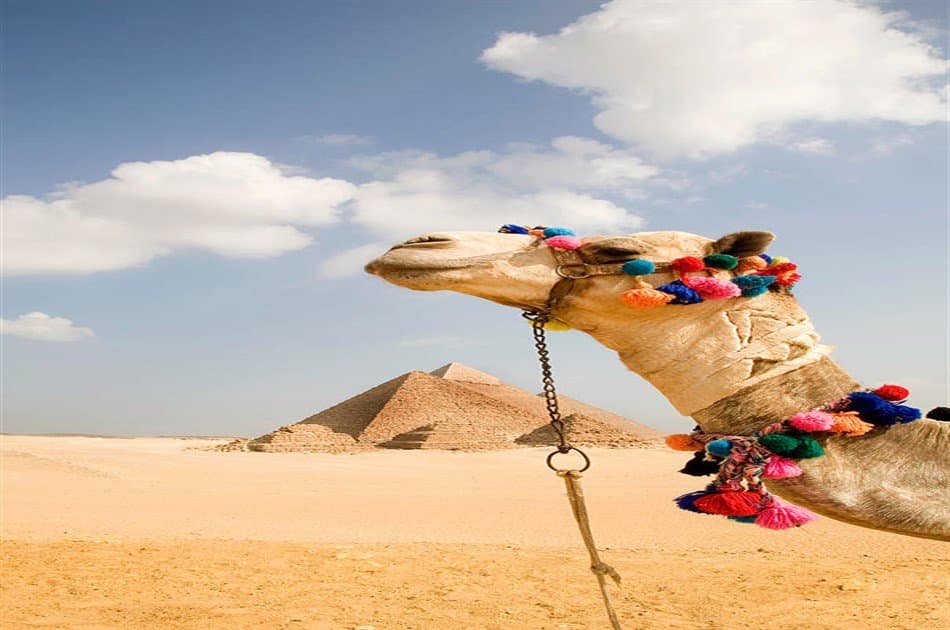 Day Tour to Giza Pyramids by Camel - Photo 2