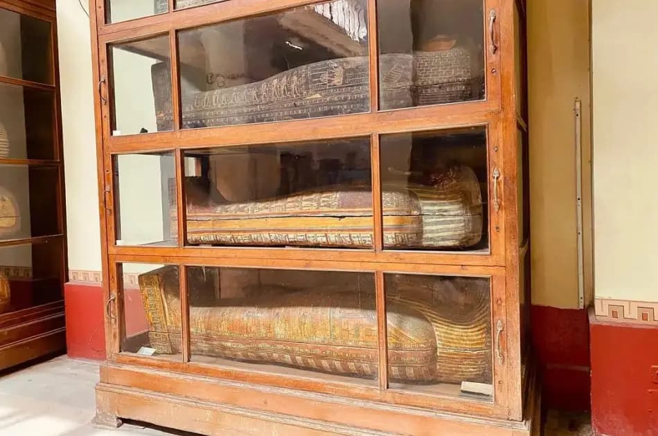 Day Tour to the Egyptian Museum - Photo 3