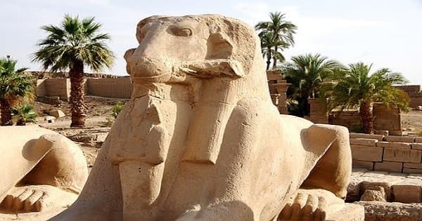 Day Trip to Luxor from Safaga Port - Photo 1