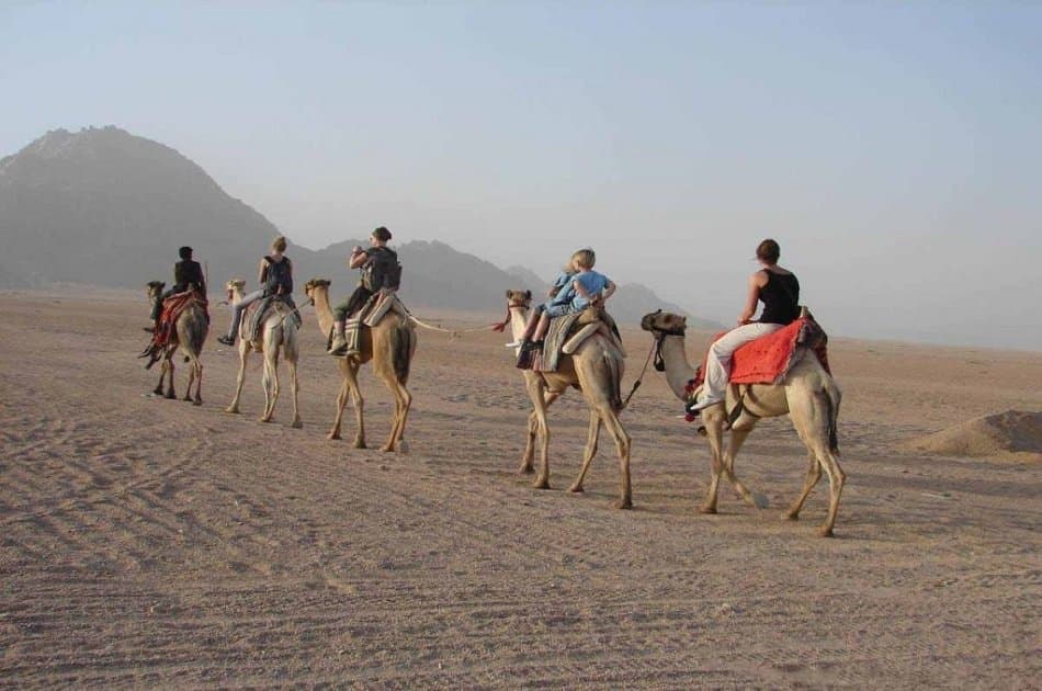 Desert Safari Trip by Quad Bike in Hurghada - Photo 4
