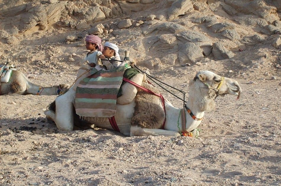Desert Safari Trip by Quad Bike in Hurghada - Photo 5