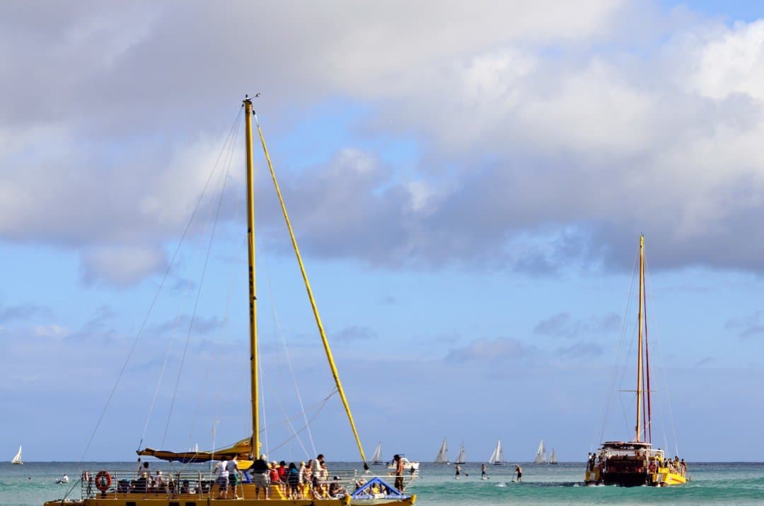 Catamaran Sailing Cruises