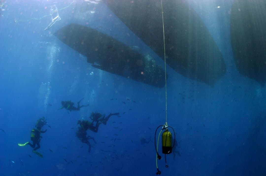 Diving in the Red Sea
