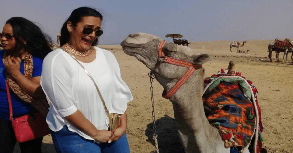 From Cairo: Private Trip to Giza Pyramids and Sphinx + Lunch - Photo 1