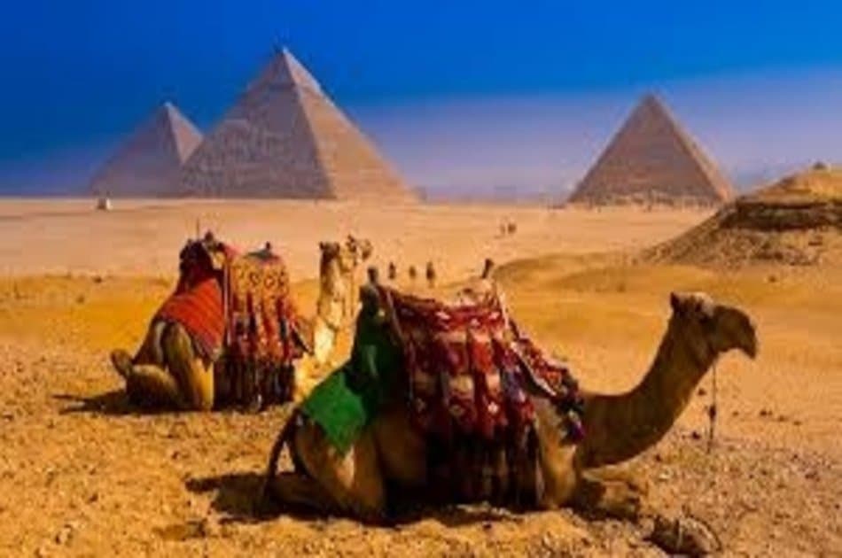 From Cairo: Private Trip to Giza Pyramids and Sphinx + Lunch - Photo 4