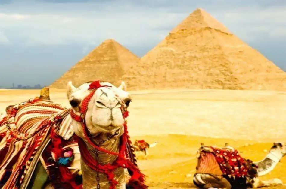 Giza Pyramid, Sakkara & Memphis Full Day Private Tour From Cairo - Photo 13